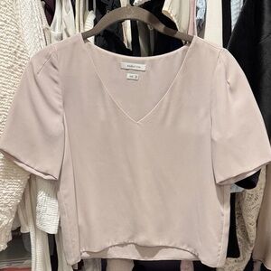 Aritzia Babaton Blush V-Neck Blouse